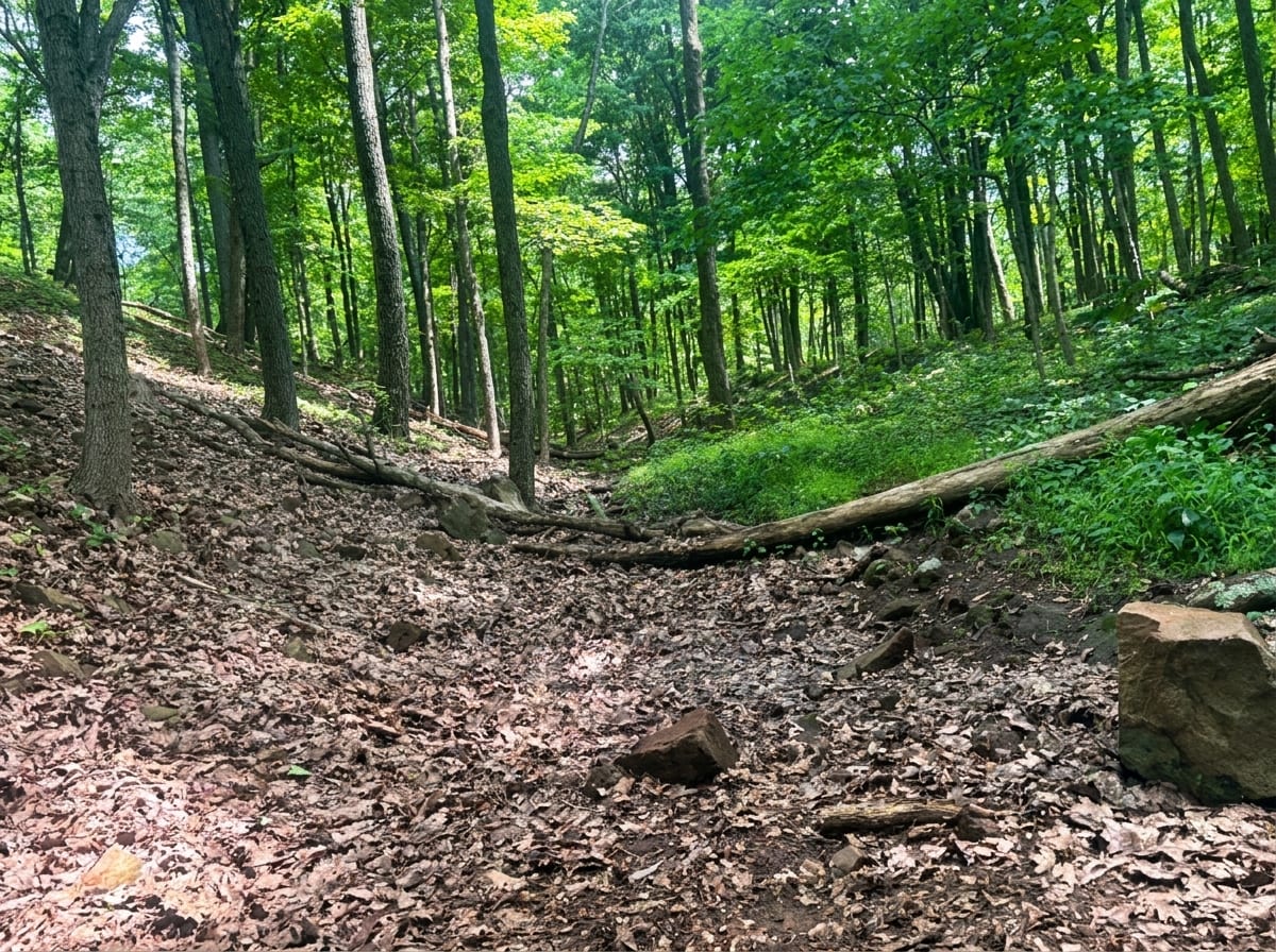Mount Higby β photo 2