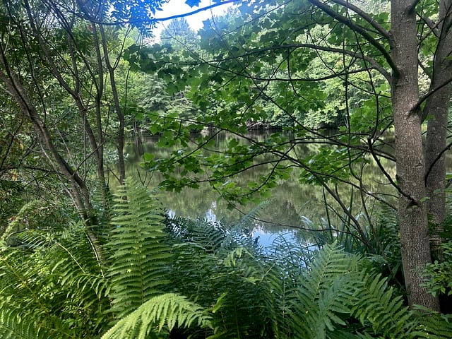 Rockhouse Hill Sanctuary β photo 4