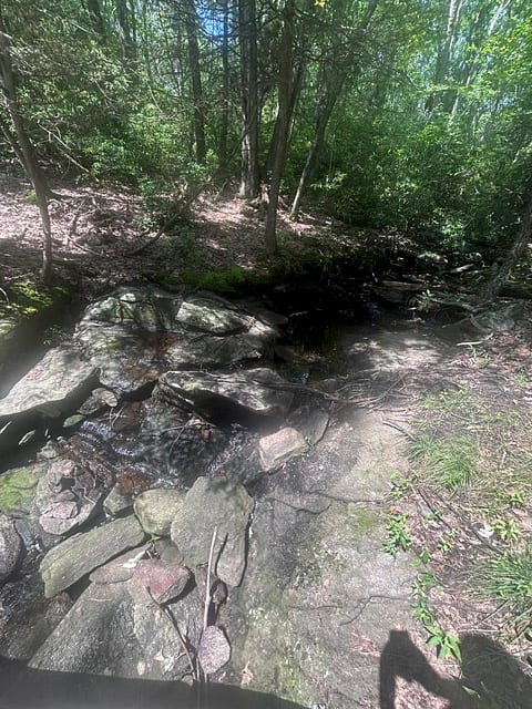 Rockhouse Hill Sanctuary β photo 5
