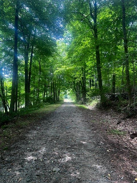Rockhouse Hill Sanctuary β photo 1