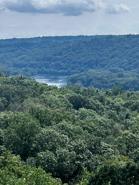 Rockhouse Hill Sanctuary β photo 6