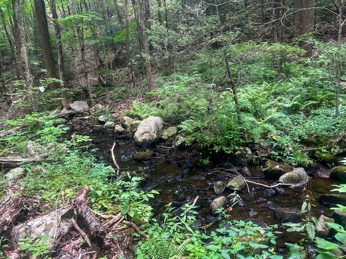 Mount Sanford β photo 2