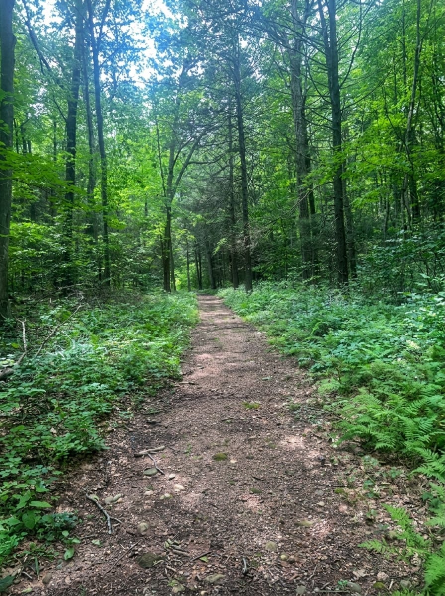 Mount Sanford β photo 1
