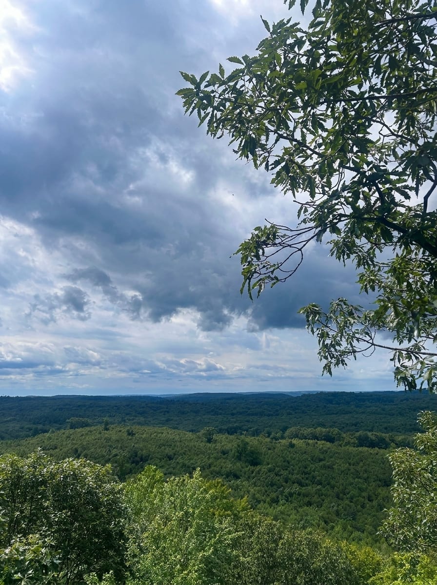 Mount Sanford β photo 5